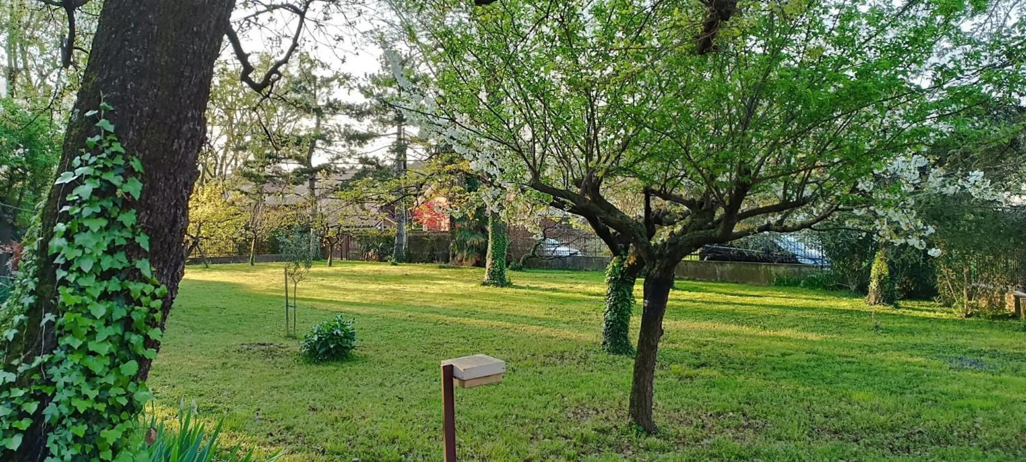 Verdemare Duino Esterno foto