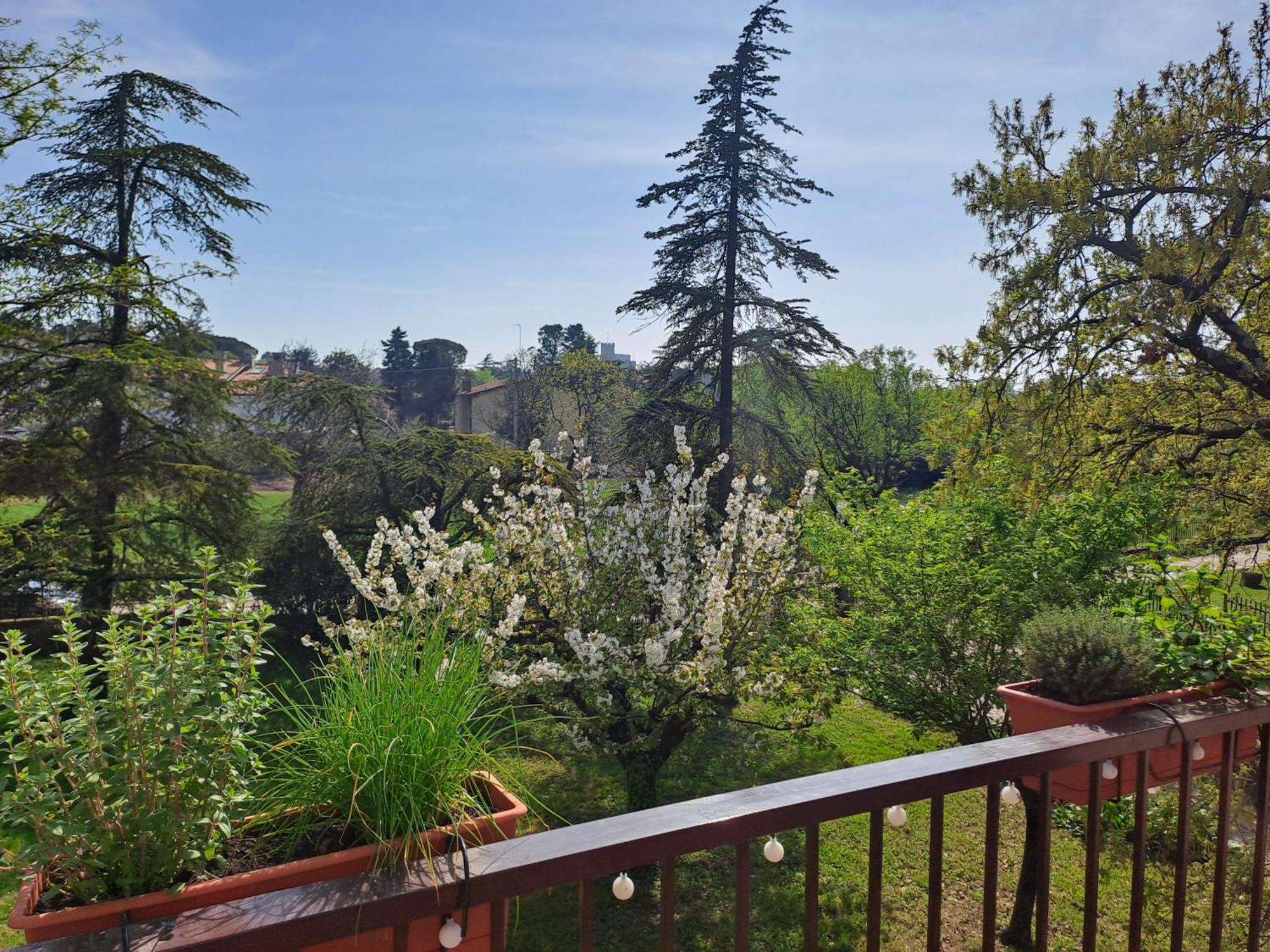 Verdemare Duino Esterno foto